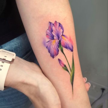 значення ірису