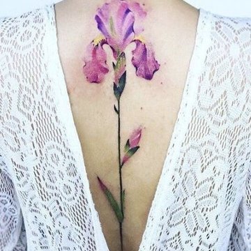 символіка ірису