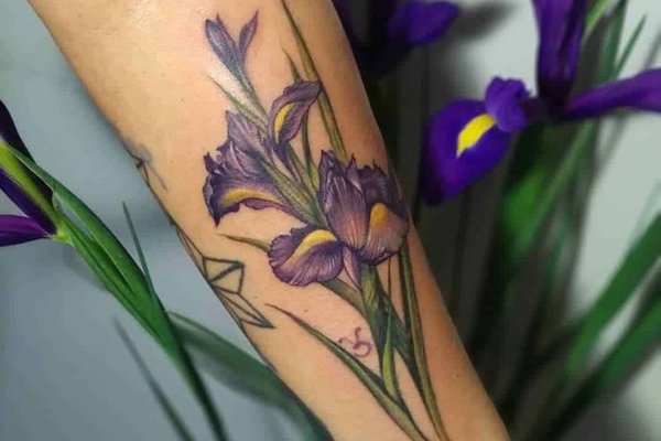 ірис тату