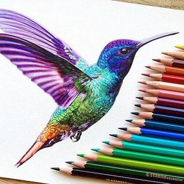 Тату ескізи колібрі