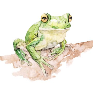 Тату эскизы жабы и лягушки