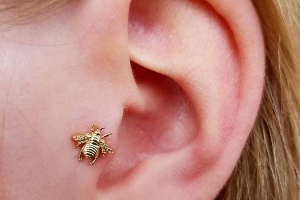 Пірсинг трагус