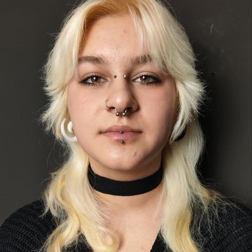 Модифікації в Нікополі