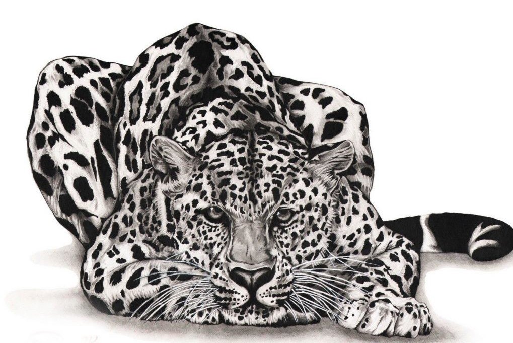 Тату ескіз "Ягуар"