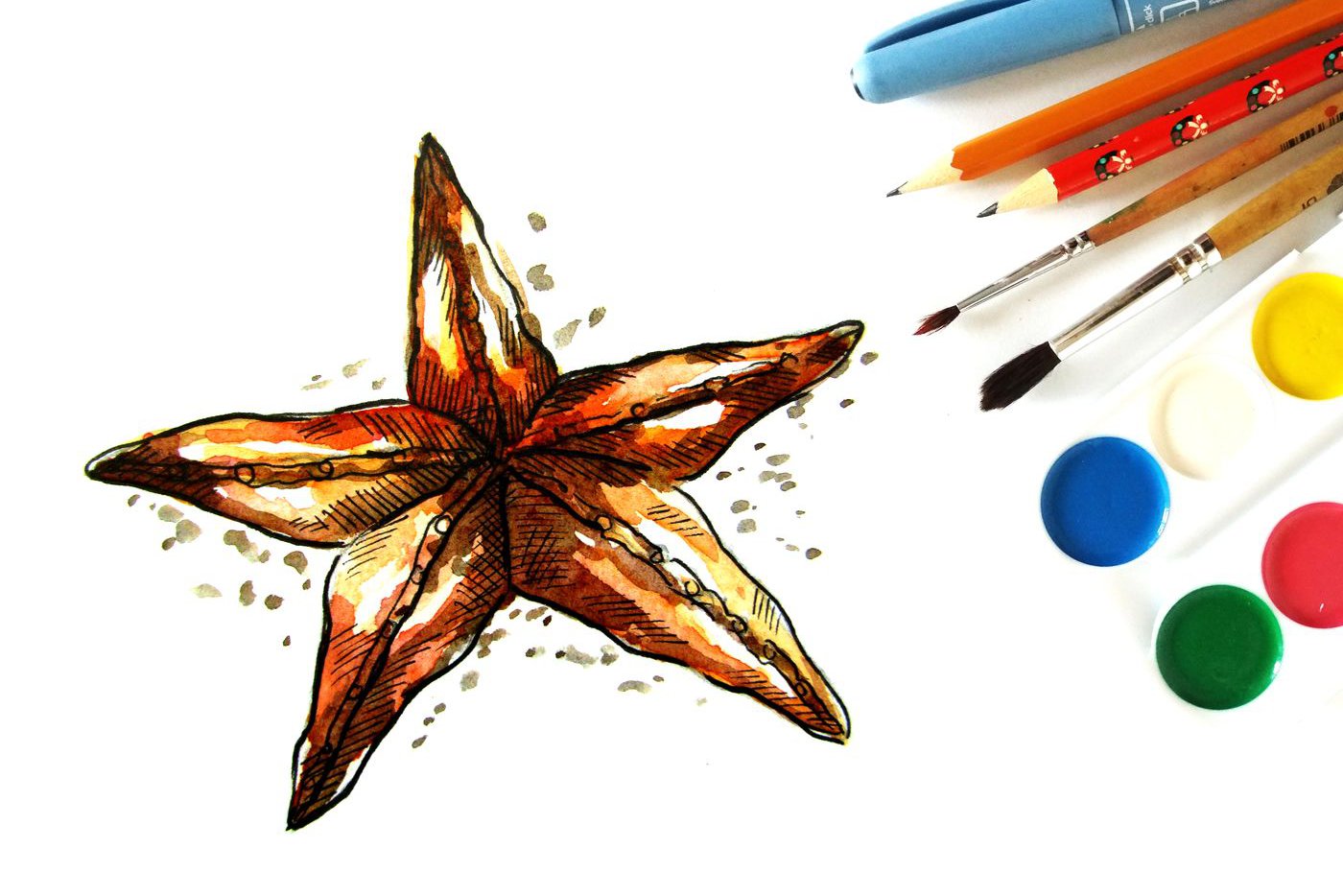 Тату эскизы  морской звезды