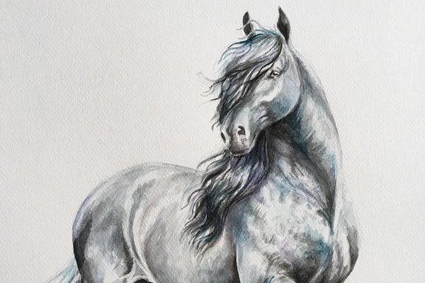 Тату ескізи коня