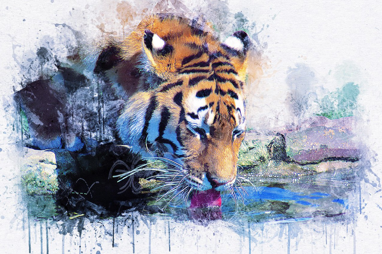 значение тату тигр