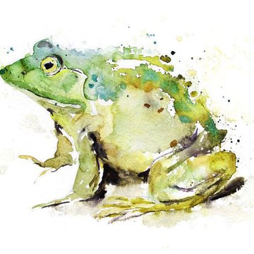 Тату эскизы жабы и лягушки