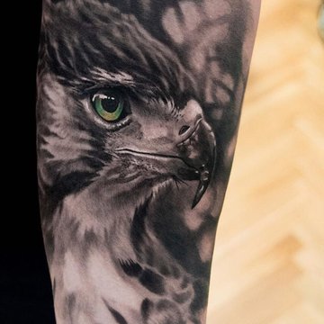 Тату-эскизы ястреба