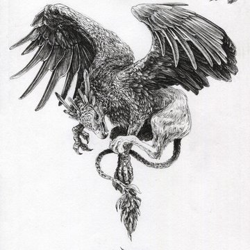 Тату эскизы грифон