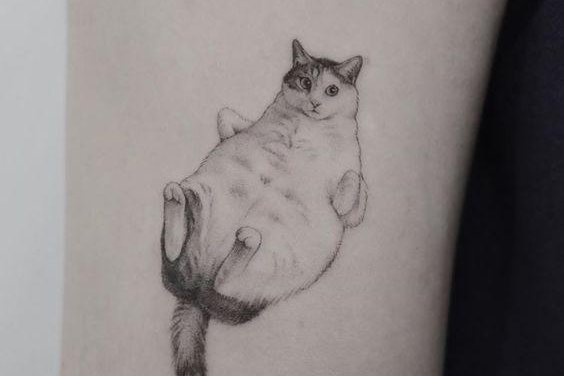 Тату ескізи коти