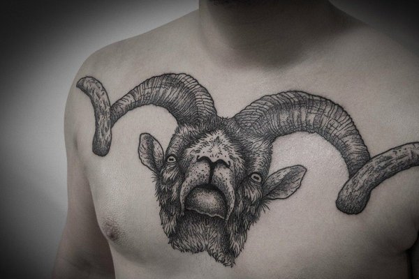 сузір'я Овна