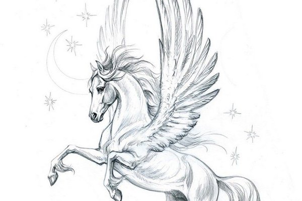 пегас татуировка на ноге