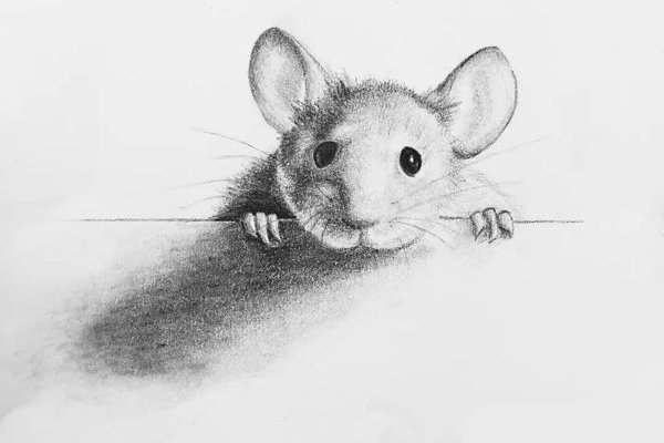 Тату-эскиз мышь