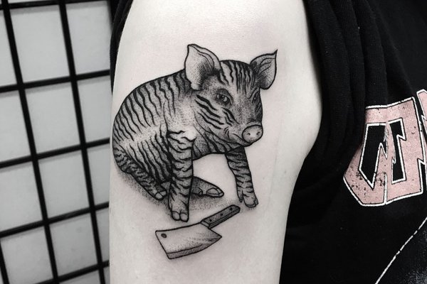 свинья эскиз