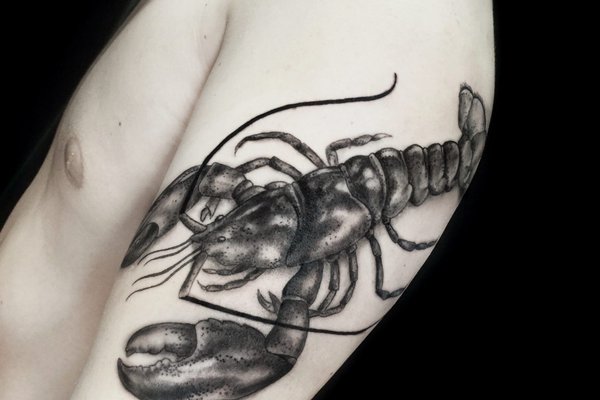 сузір'я Рака