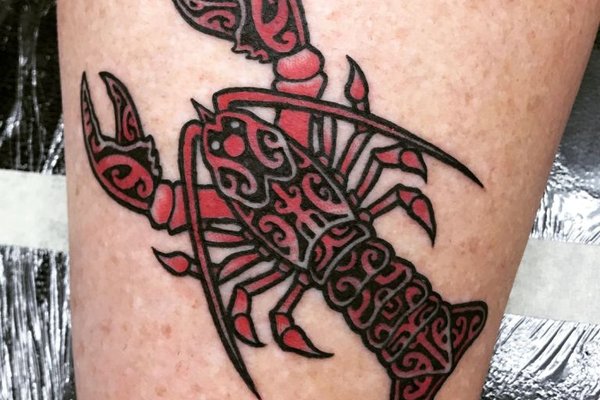 сузір'я Рака