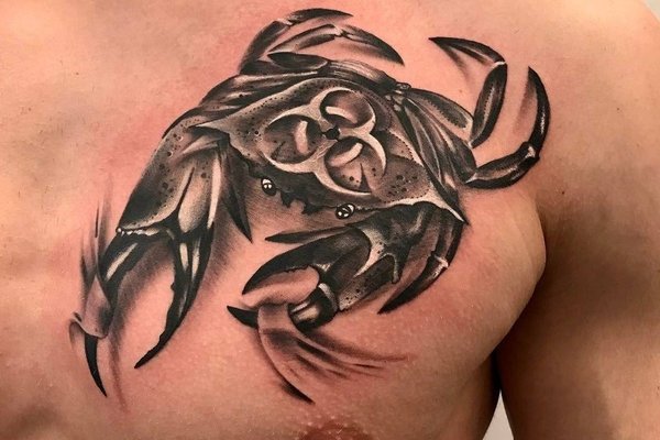 сузір'я Рака