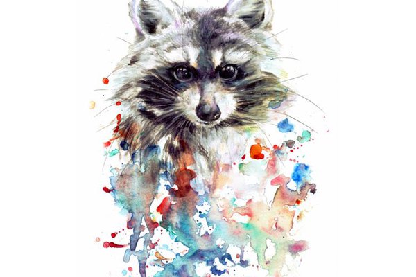 Тату ескізи єнот