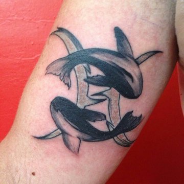 сузір'я Риб