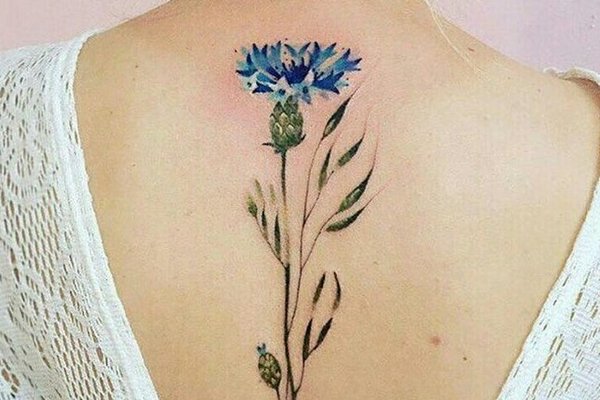 татуювання волошка