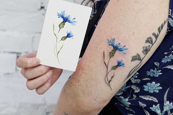 татуювання волошка