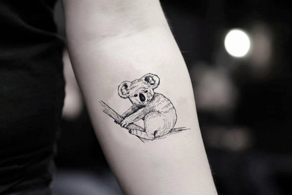 Тату-эскиз коала