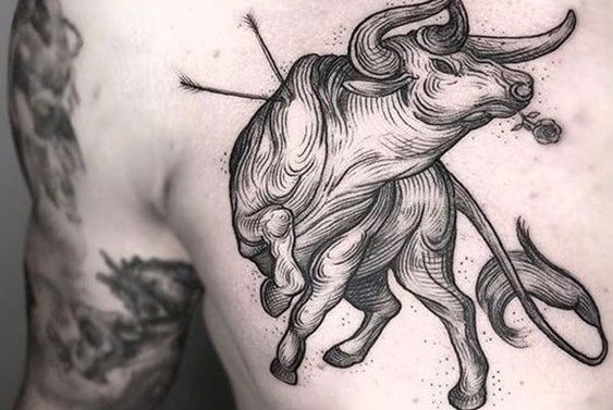 сузір'я Тельця