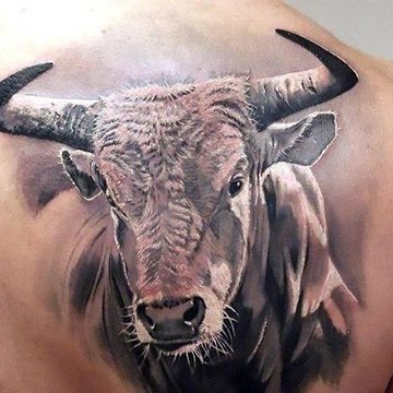 сузір'я Тельця