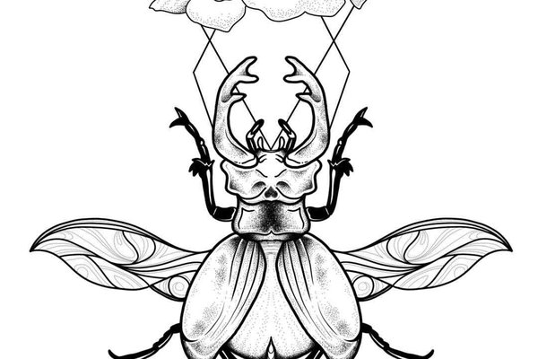 Тату ескіз жук