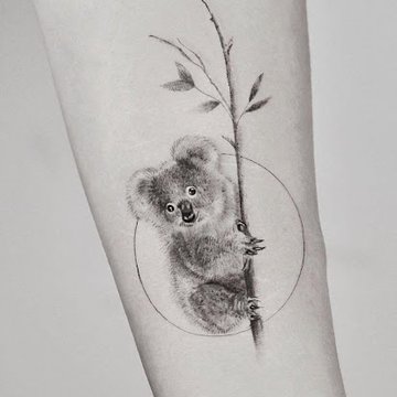 Тату-ескіз коала