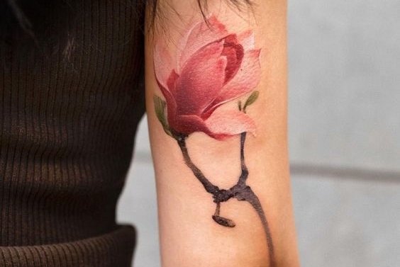 тату магнолия