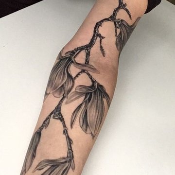 тату магнолия