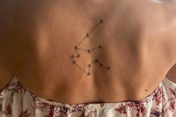 созвездие Водолея