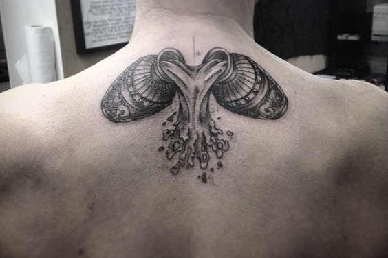 созвездие Водолея