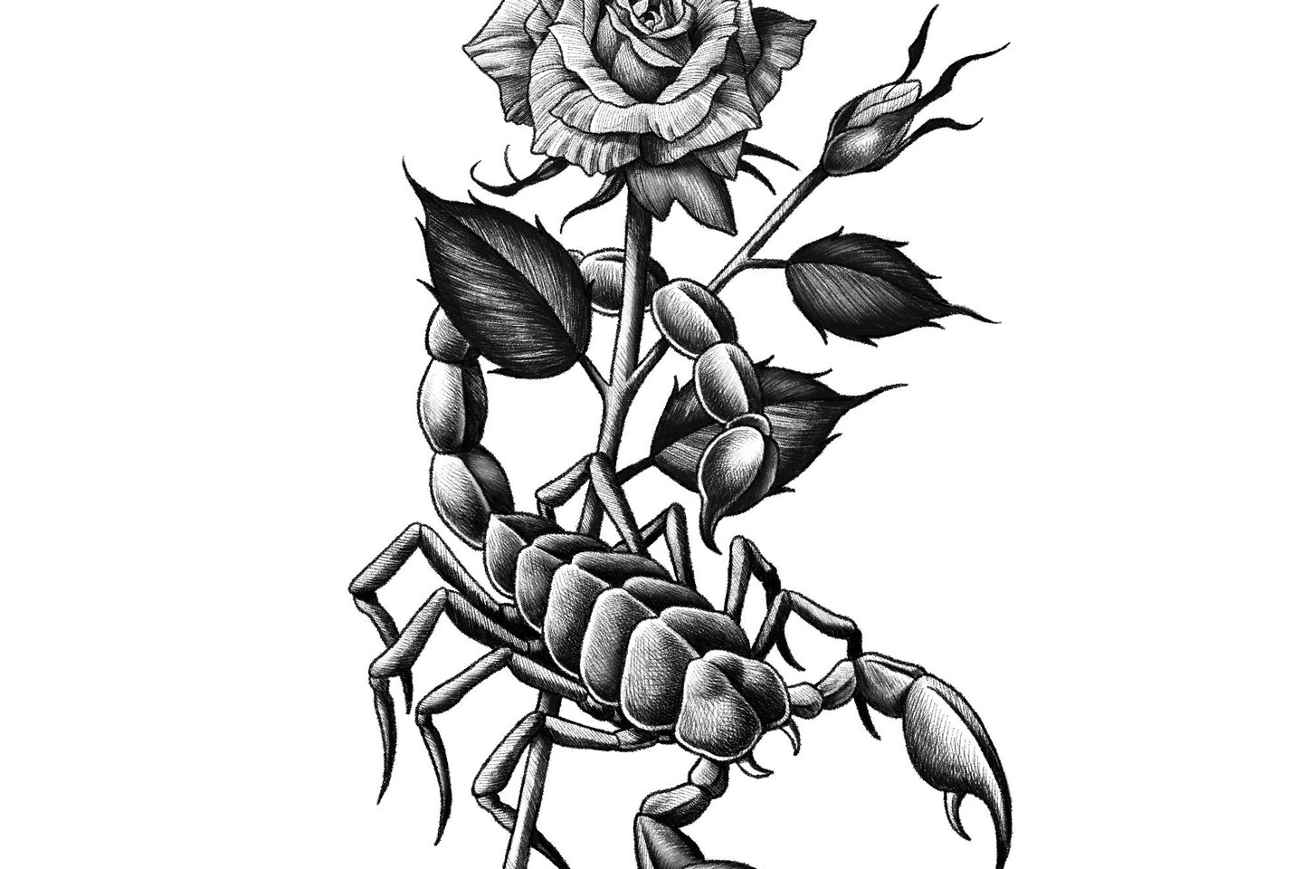 Тату-ескізи "Скорпіон"