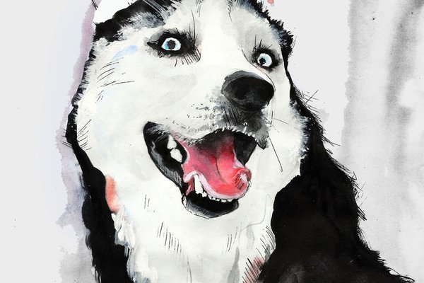 Тату-эскизы "хаски"